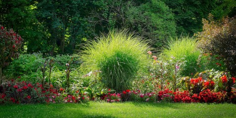 Foto : Een mooie tuin zonder dat je groene vingers hebt?