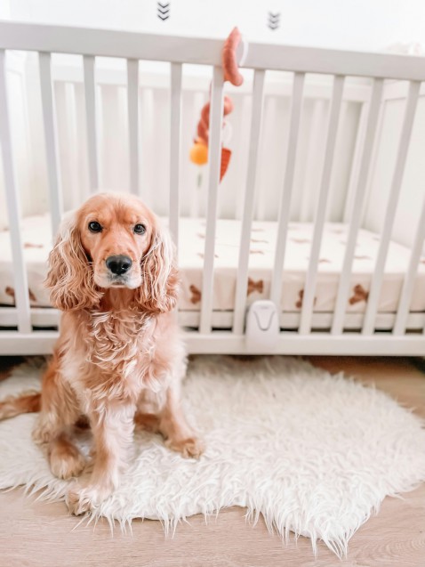 Foto : 5 tips voor de inrichting van de babykamer