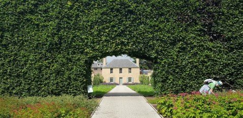 Foto : Hoe kant en klaar hagen jouw tuin direct een groene uitstraling geven