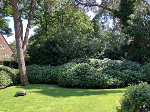 Foto : Ontdek het geheim van een prachtige wintertuin