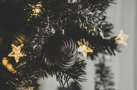 Foto : Haal de kerst in huis: jouw kerstboom online kopen