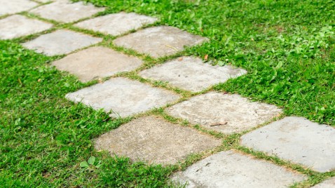 Foto : Waarom oud Hollandse tegels Ideaal zijn voor Groene Tuinen