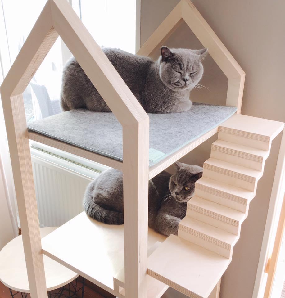 In deze design kattenhuisjes wil elke kat wel slapen! - manden-en-bedden - huisdier - WONEN.nl