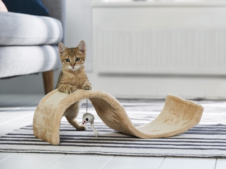 Dusver Woedend Formulering 9 Leuke en goedkope accessoires voor je hond en kat - speelgoed-en- accessoires - huisdier - WONEN.nl