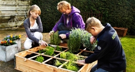 Foto : MeterMoestuin van Landgoed