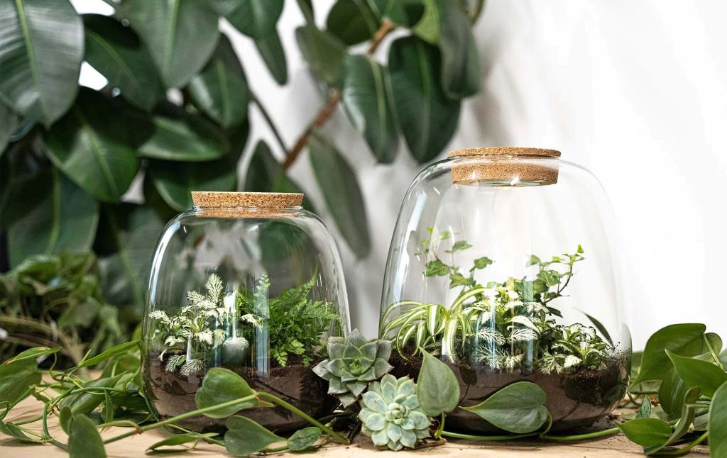 Foto: Wonennl-woonhero-terrarium