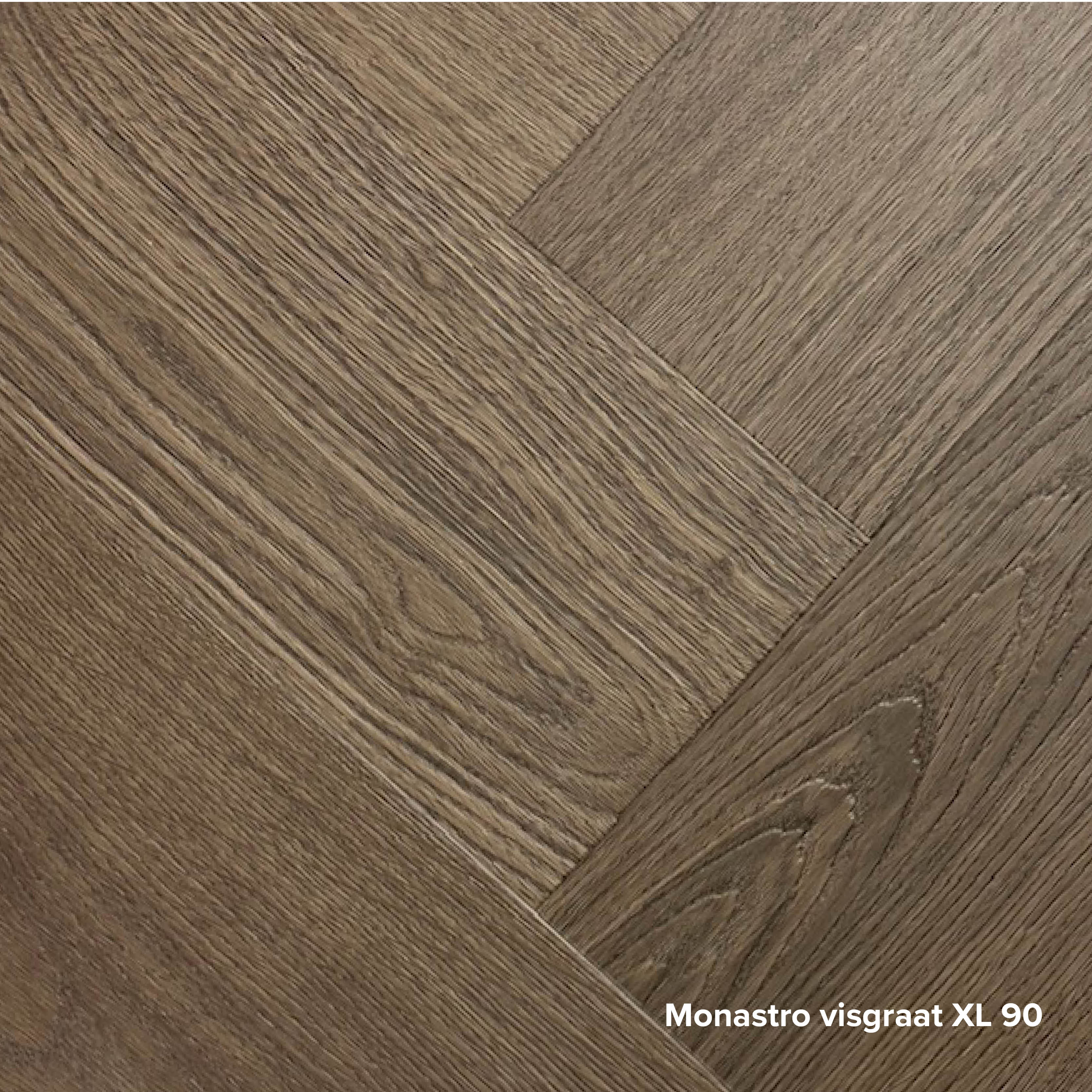 Foto: Monastro visgraat XL 90