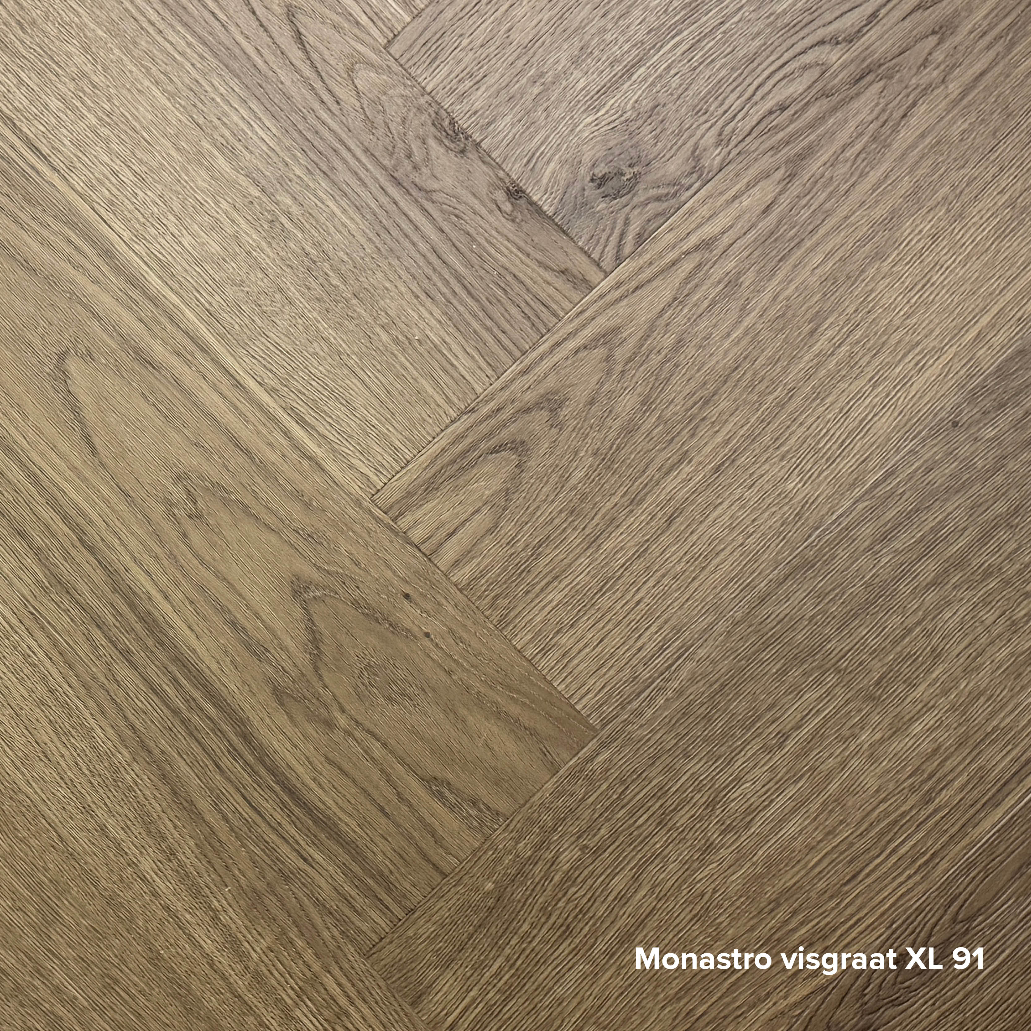 Foto: Monastro visgraat XL 91